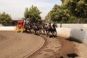IMG_0933 