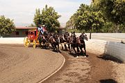 IMG_0934 