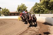 IMG_0936 