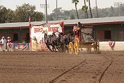 IMG_0957 