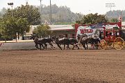IMG_0959 