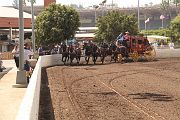 IMG_0965 