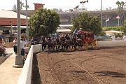 IMG_0966 