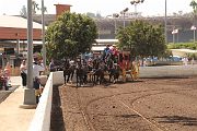 IMG_0967 