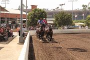 IMG_0974 