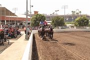 IMG_0976 