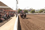 IMG_0979 