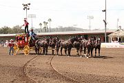 IMG_1035 