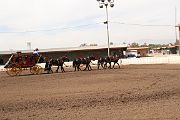 IMG_1341 