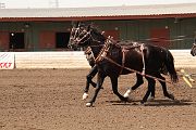 IMG_1533 