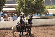 IMG_1571 