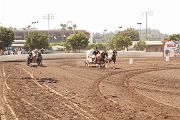 IMG_1687 