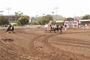 IMG_1734 