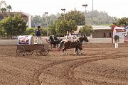 IMG_1788 