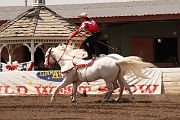 IMG_1833 