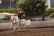IMG_1850 