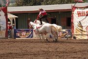 IMG_1874 