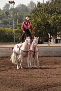 IMG_1885 