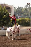 IMG_1893 
