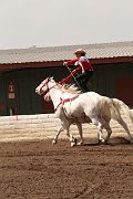 IMG_1965 
