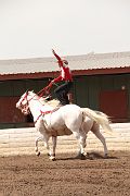 IMG_1966 