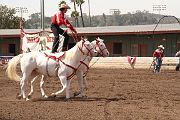 IMG_2002 