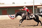 IMG_2459 