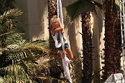 IMG_2944 