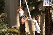 IMG_2946 