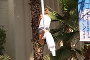 IMG_2949 