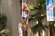 IMG_2951 
