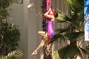 IMG_3135 