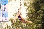 IMG_3921 