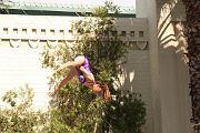 IMG_4023 