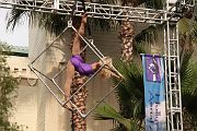 IMG_4781 