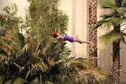 IMG_5240 