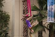 IMG_6186 