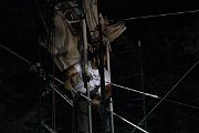 IMG_7801 