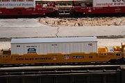 IMG_4517 