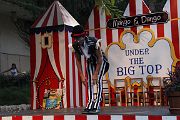 IMG_6891 