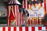 IMG_6892 