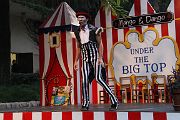 IMG_6895 