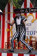 IMG_6898 