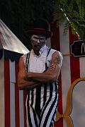 IMG_6935 