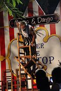 IMG_7653 