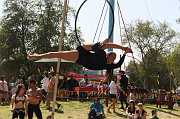 IMG_1794 