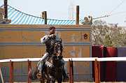 IMG_0824 