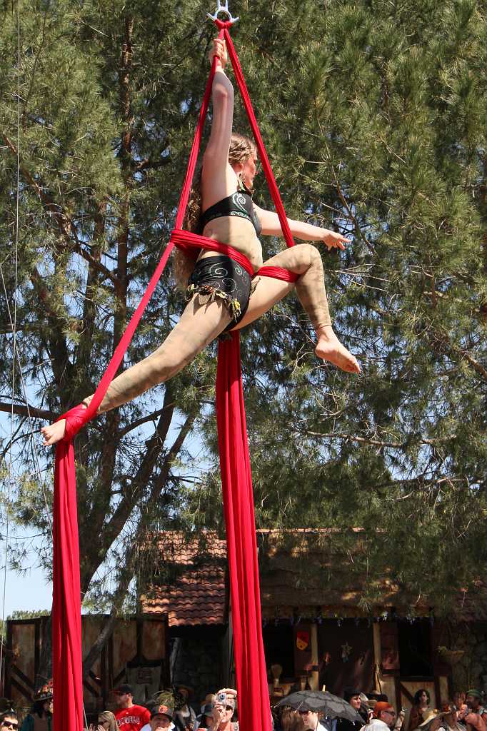 IMG_2375