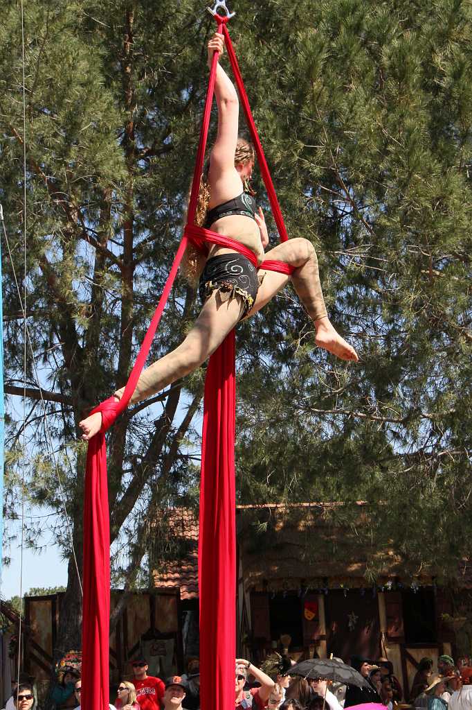 IMG_2376