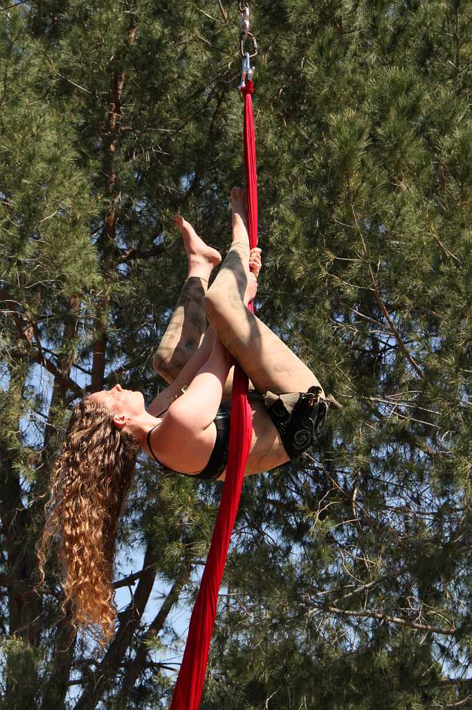 IMG_2387